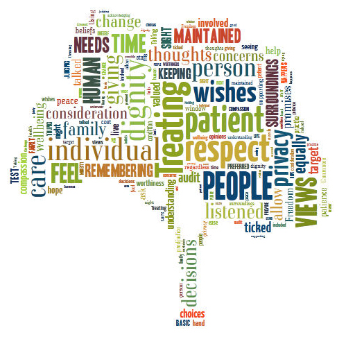 A word cloud image composed using the responses to the question 'what does dignity mean to you?' Most frequently used words include respect, views, wishes, dignity, individual, thoughts